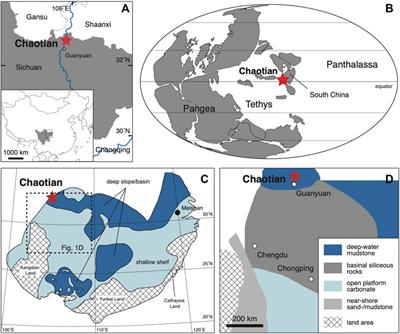 Carbon Isotope Chemostratigraphy Across the Permian-Triassic Boundary at Chaotian, China: Implications for the Global Methane Cycle in the Aftermath of the Extinction